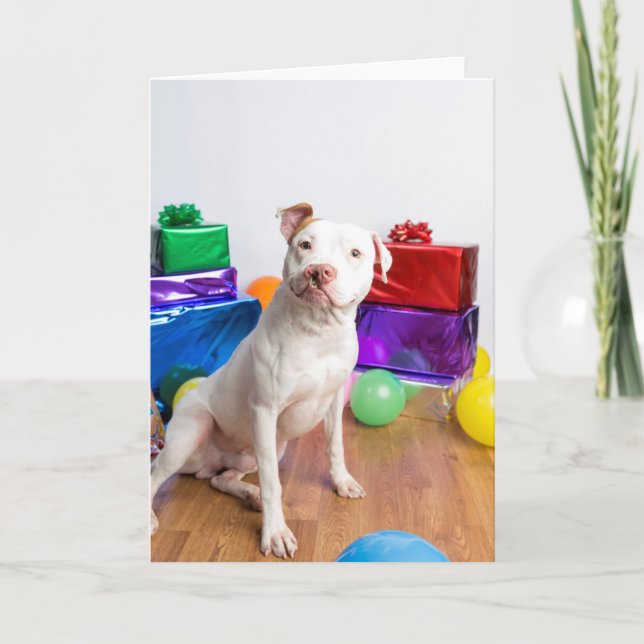 Carte Birthday card (Devant)