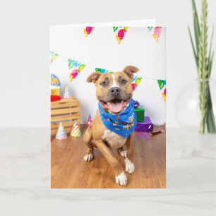 Carte Birthday card