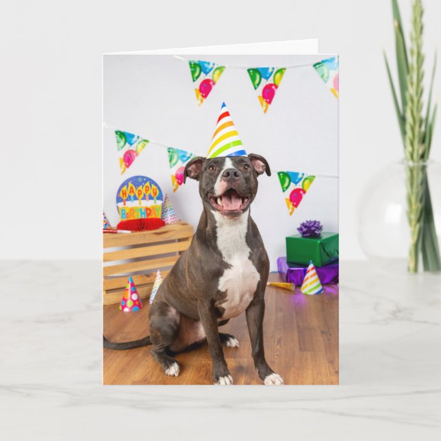 Carte Birthday card (Devant)