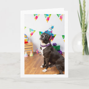 Carte Birthday card