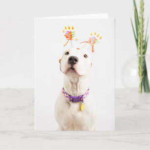 Carte Birthday Card