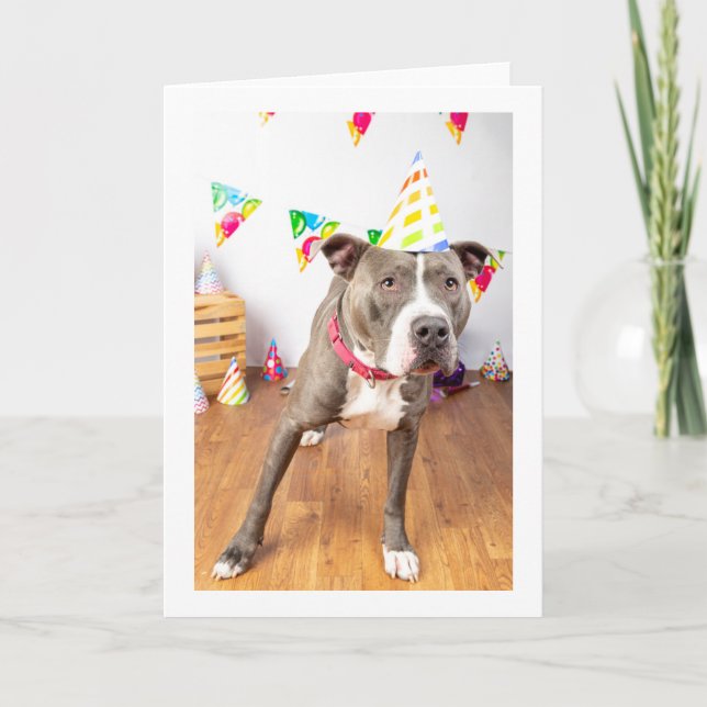 Carte Birthday card (Devant)