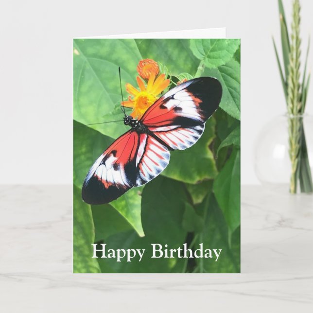 Carte Birthday Card Butterfly with Kafka Quote (Devant)