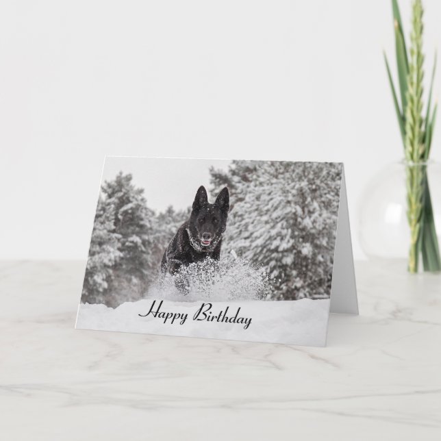 Carte Birthday Card German Shepherd Dog in snow (Devant)