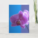Carte Birthday Card pour Daughter - Orchid<br><div class="desc">This lovely orchid card makes a gorgeous birthday card for a daughter. Image and Verse Kathy Henis</div>