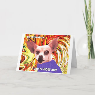 Carte birthday chihuahuahua