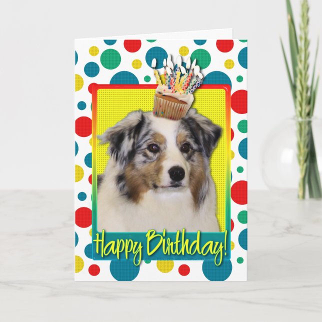 Carte Birthday Cupcake - Australian Shepherd (Devant)
