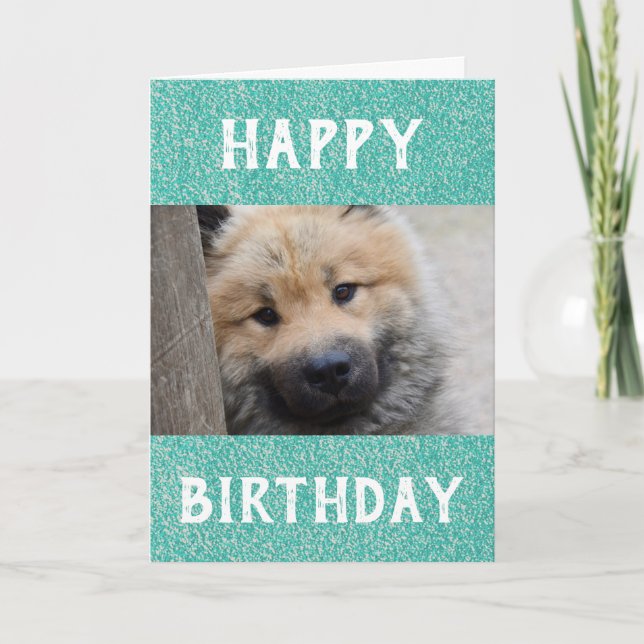 Carte Birthday Dog Dad World's Best Ever Pet Photo (Devant)