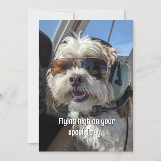 Carte Birthday Dog Pilot Aviator Sunglasses Plane Funny (Devant)