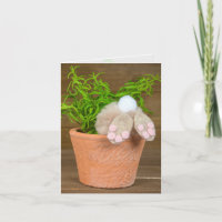 birthday fun bunny in flower pot