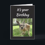 Carte Birthday Fun Kangaroo Australia Animal<br><div class="desc">Fun Kangaroo No Worries mate Birthday Australian Animal Humor blank inside card</div>