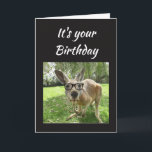Carte Birthday Fun Kangaroo Australia Animal<br><div class="desc">Fun Kangaroo No Worries mate Birthday Australian Animal Humor blank inside card</div>