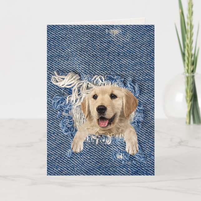 Carte birthday golden retriever in blue denim hole (Devant)