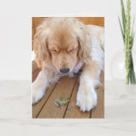 Carte Birthday golden retriever with frog<br><div class="desc">golreever witgreen frog on wood for funny birthday</div>