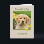 Carte Birthday, Grandson, Golden Retriever Dog<br><div class="desc">Nothing says "love" more than the big brown eyes of a Golden Retriever pup.  Add a few yellow daffodils and you have a way to wish someone a happy birthday.  Feel free to change the inside verses to suit your needs.</div>