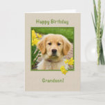 Carte Birthday, Grandson, Golden Retriever Dog<br><div class="desc">Nothing says "love" more than the big brown eyes of a Golden Retriever pup.  Add a few yellow daffodils and you have a way to wish someone a happy birthday.  Feel free to change the inside verses to suit your needs.</div>