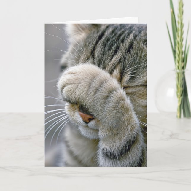 Carte Birthday Gray Tabby Cat Getting Old Humor (Devant)