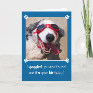 Carte Birthday - I Goggled You - Australian Shepherd Dog