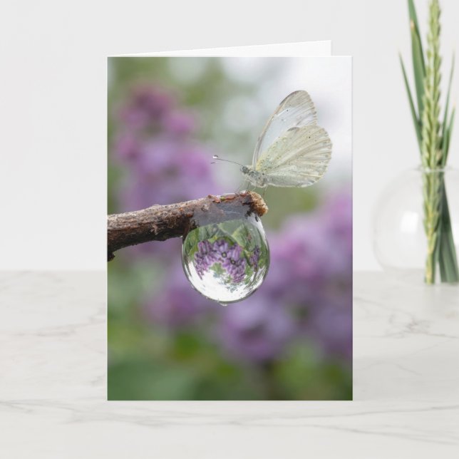 Carte Birthday Lilacs Reflecting in a Raindrop  (Devant)