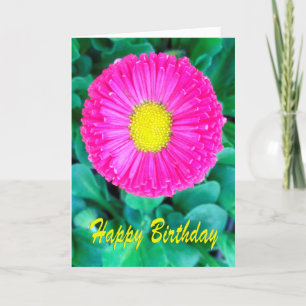 Carte Birthday Pink & Yellow Flower