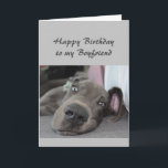 Carte Birthday to my Boyfriend Fun Dog Relax Humor<br><div class="desc">Happy Birthday to my Boyfriend definition of Relax Humor Greeting with cute relaxing Great Dane Dog</div>