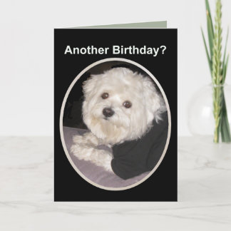Carte Birthday Wishes for all Pet Lovers