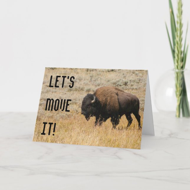 Carte Bison Américain Pâturé Dans L'Herbe Des Prairies P (Devant)
