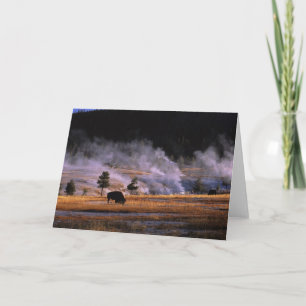 Carte Bison presque frôlant dans le bassin supérieur de