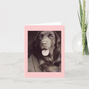 Carte Black And White Labrador Retriever Dog Note Card