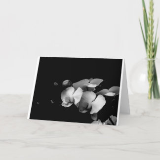 Carte Black and White Orchid Branch Card