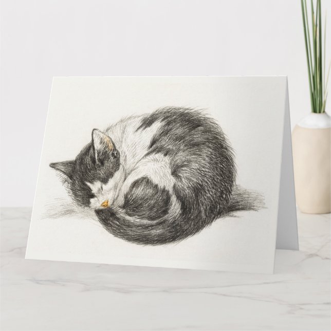 Carte Black and white pencil drawing of a sleepcat (Devant)