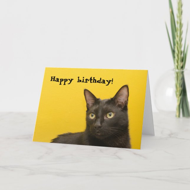 Carte Black cat on Yellow Birthday (Devant)