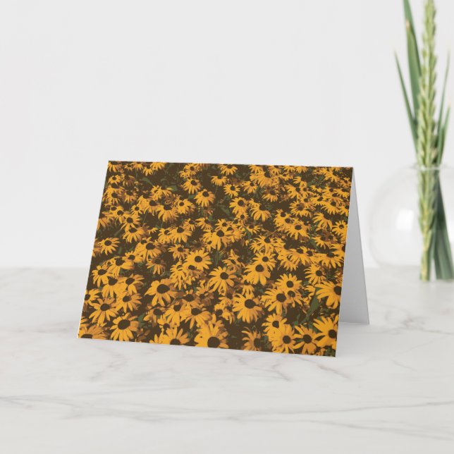Carte Black Eyed Susan Fleurs sauvages Daisy Garden Jaun (Devant)
