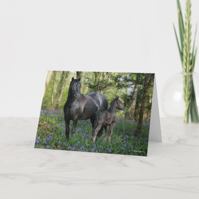Carte Black Friesian Mare et Foie dans Bluebells (Devant)