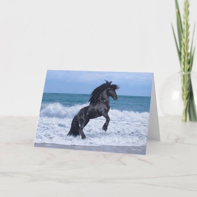 Carte Black Friesian Stallion Rearing In the Sea (Devant)