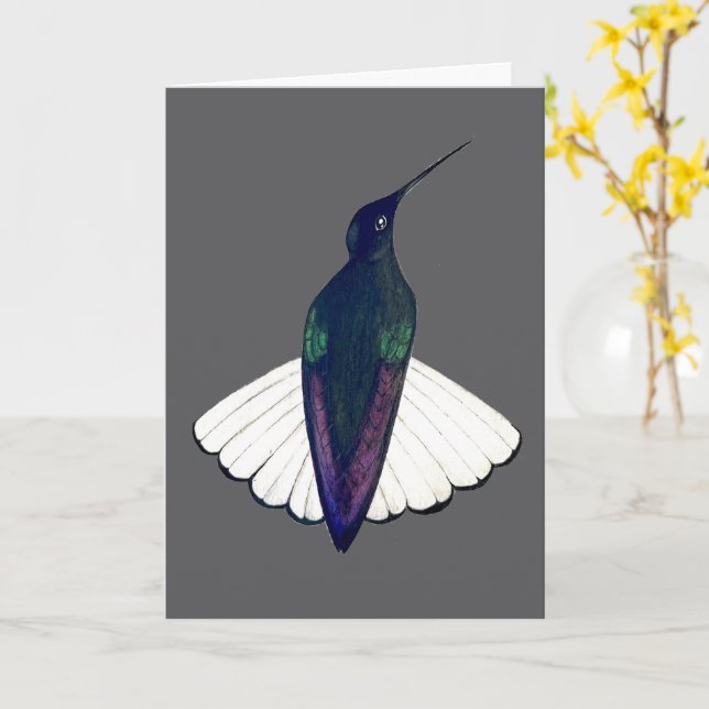 Carte Black Jacobin Hummingbird  (Fleur jaune)