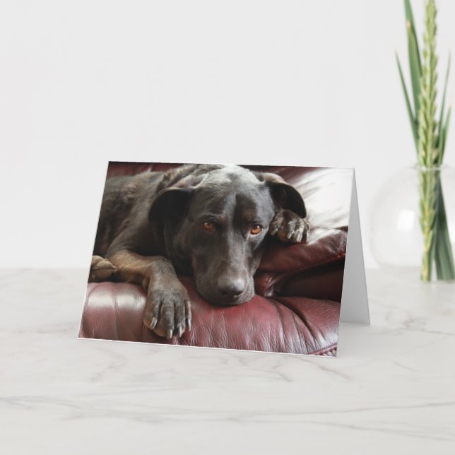 Carte Black Lab (Devant)