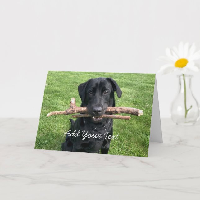 Carte Black Lab avec deux bâtons Photo de chien (Petite plante)