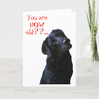 Carte Black Lab Chien Tipping Tête à souhaiter un joyeux