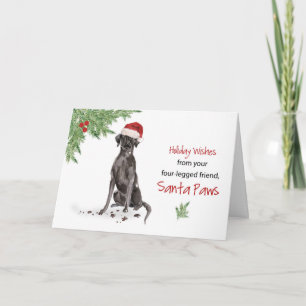 Carte Black Lab Noël de chien dans Funny Santa Hat