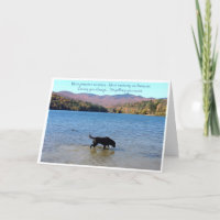 Carte Black Lab Sympathy - Sympathy chien - Perte