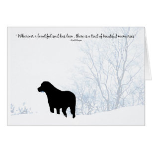 Carte Black Lab Sympathy - Sympathy chien - Perte
