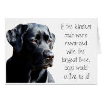 Carte Black Lab Sympathy - Sympathy chien - Perte 