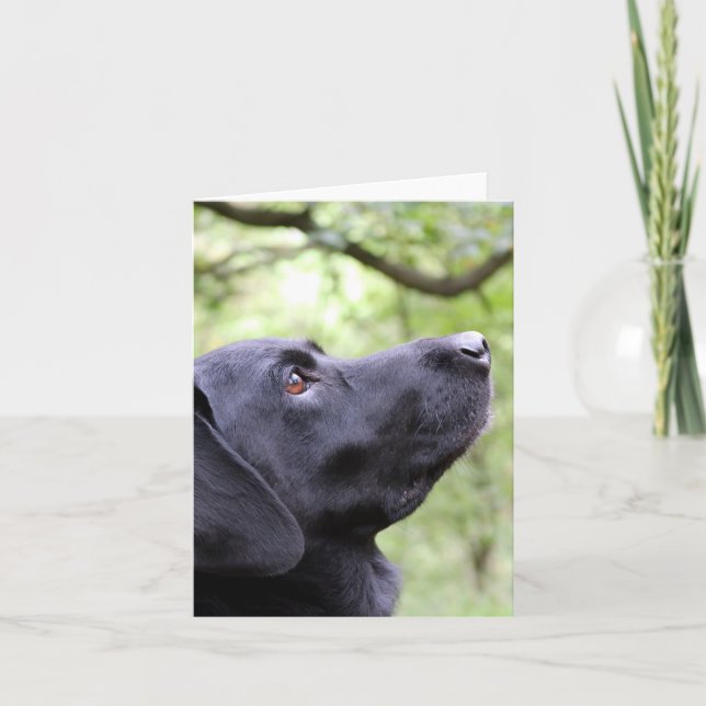 Carte Black Labrador (Devant)