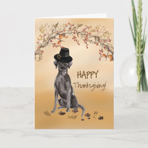 Carte Black Labrador Funny Pilgrim Casquette Thanksgivin