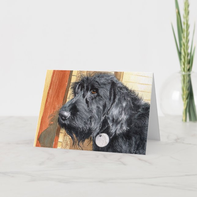 Carte Black Labraoodle #1 Greeting Cards (Devant)