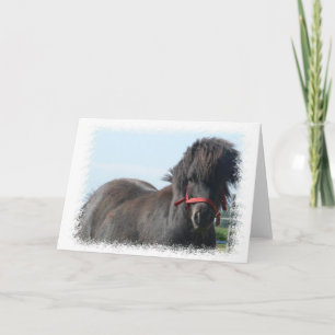 Carte Black Pony Greeting Card