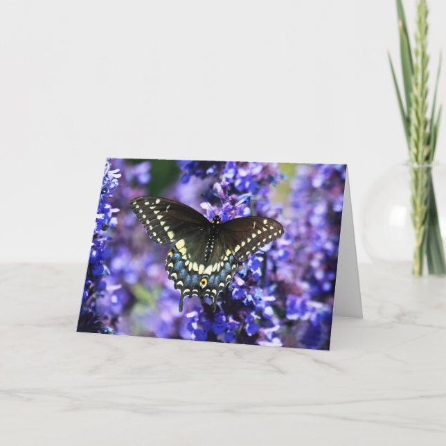Carte Black Swallowtail 7 x 5 Greeting Card - blank (Devant)