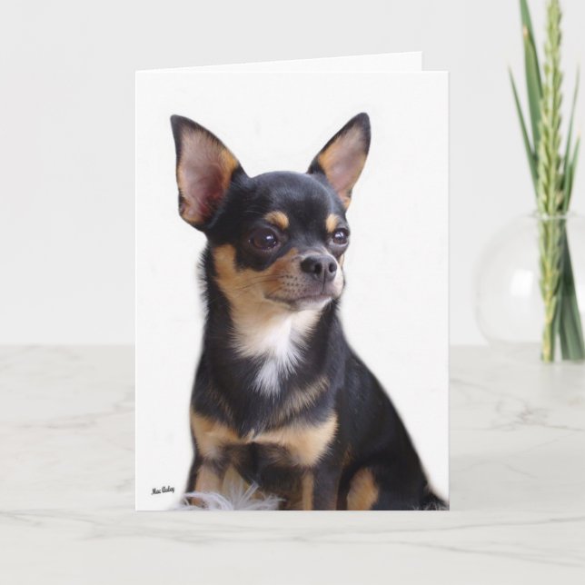 Carte Black & Tan Chihuahua (Devant)