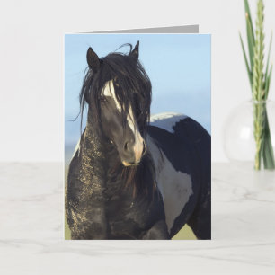 Carte Black & White vient fermer Wild Horse Greeting Car